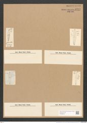 Stauroneis gracilis W.Sm. (de-Toni-Nr.: Genus 6, Species 879) Zeichnungen Sammlung Grunow Nr. 1737 (NHMW-BOT-W0368619)